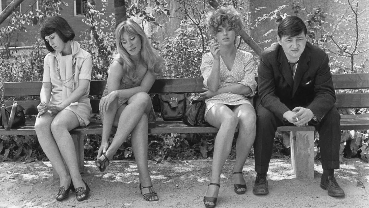 Katzelmacher backdrop