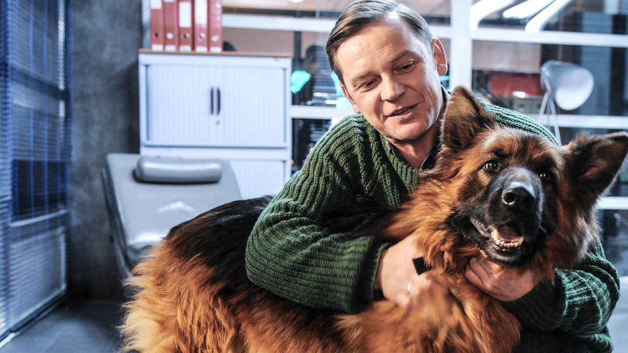 Komisarz Alex backdrop