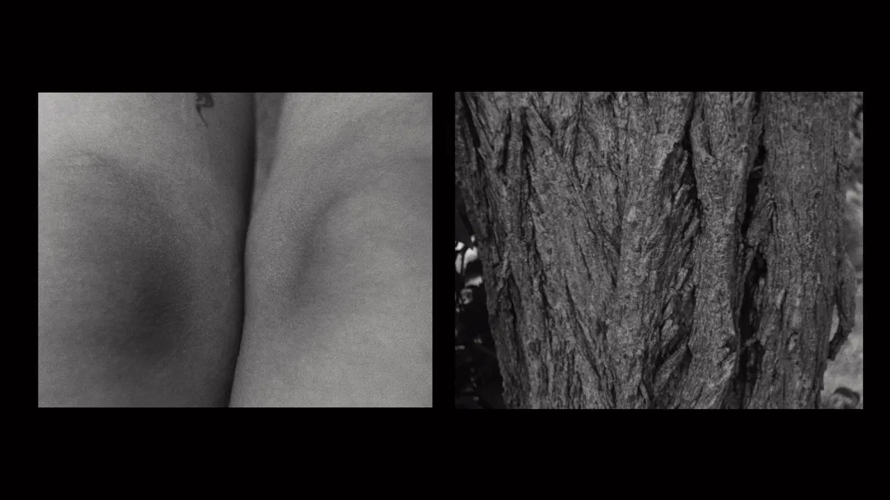 Δέρμα Πόλης/Πόλης Δέρμα backdrop