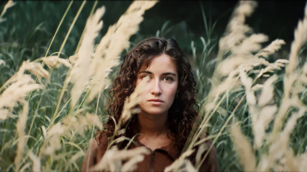 The Weight of Quiet Things backdrop