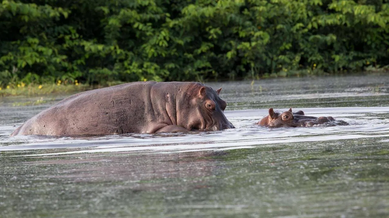 Nationalparks der Zukunft backdrop