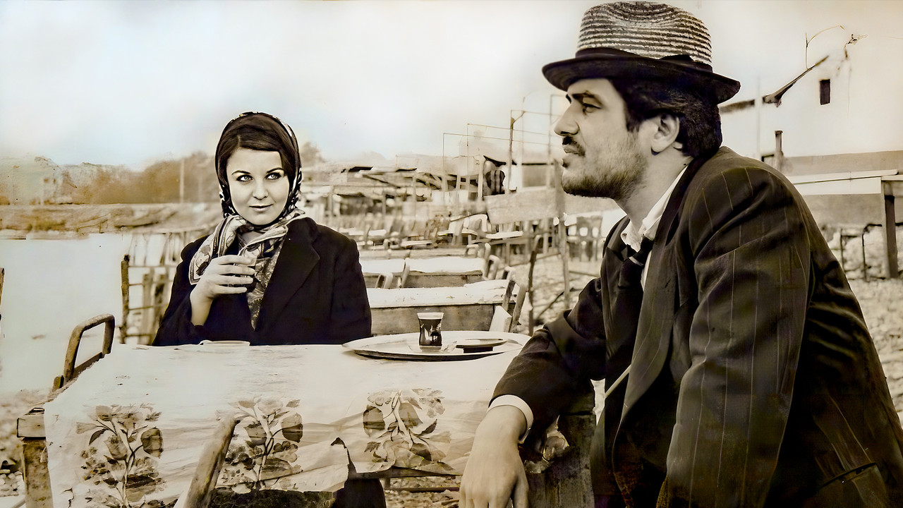 Dolmus Driver backdrop