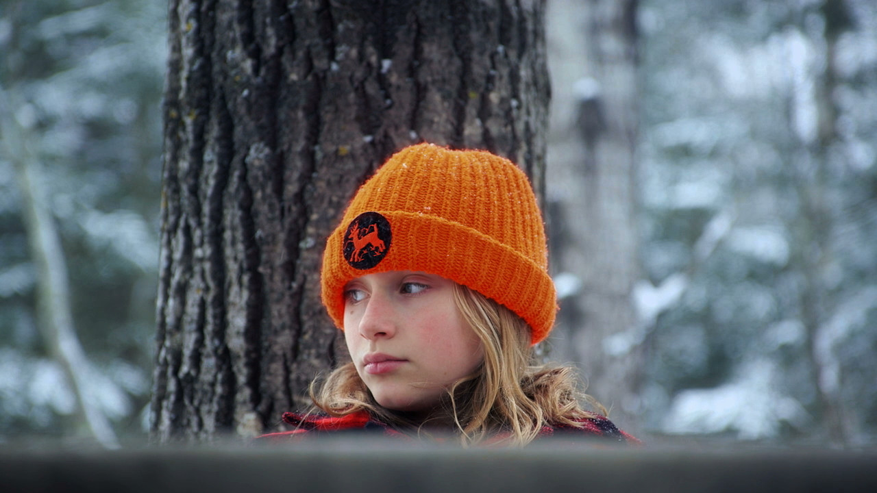 Cold November backdrop