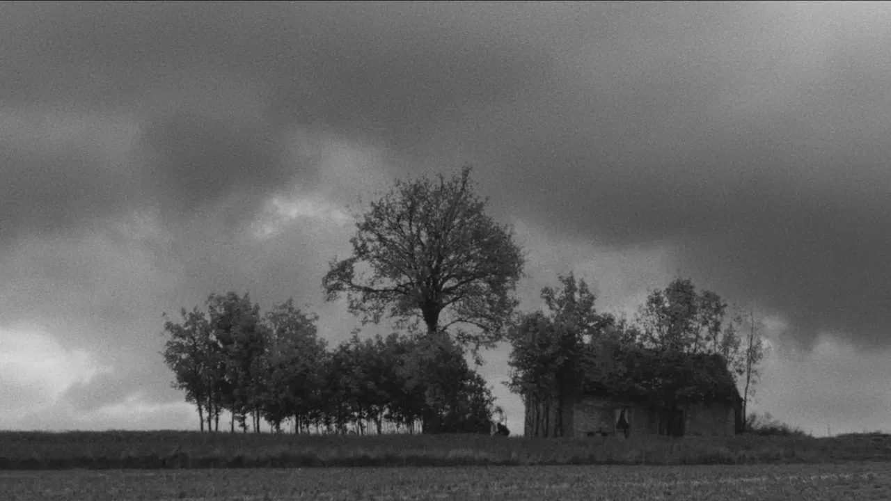 Mother's Day backdrop