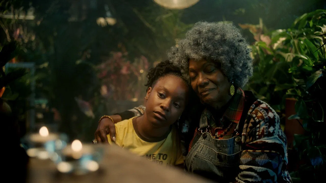 Honestly Stolen backdrop