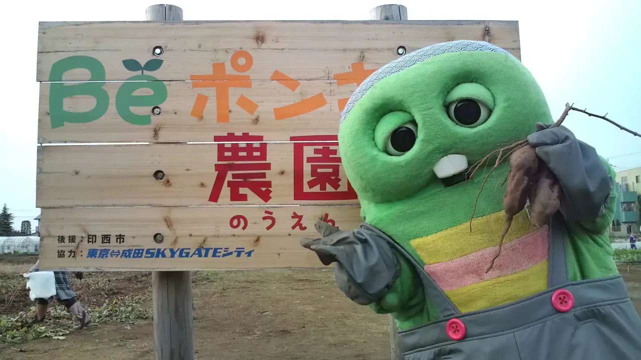 Be Ponkikki backdrop