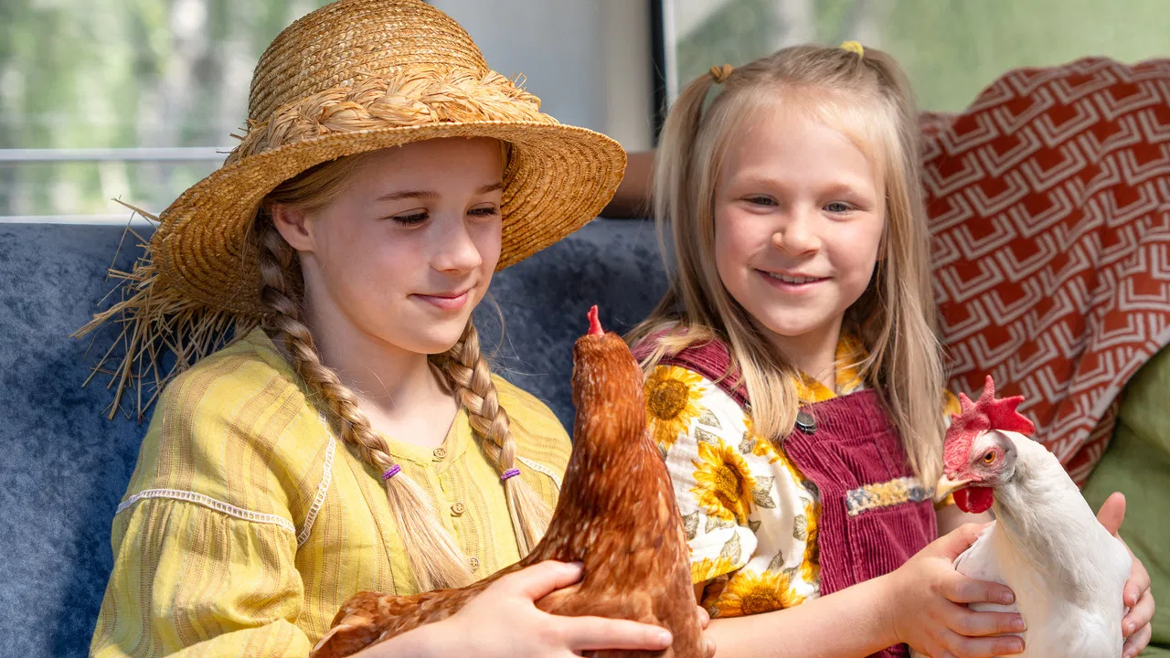 Hayflower, Quiltshoe and the Chicken backdrop