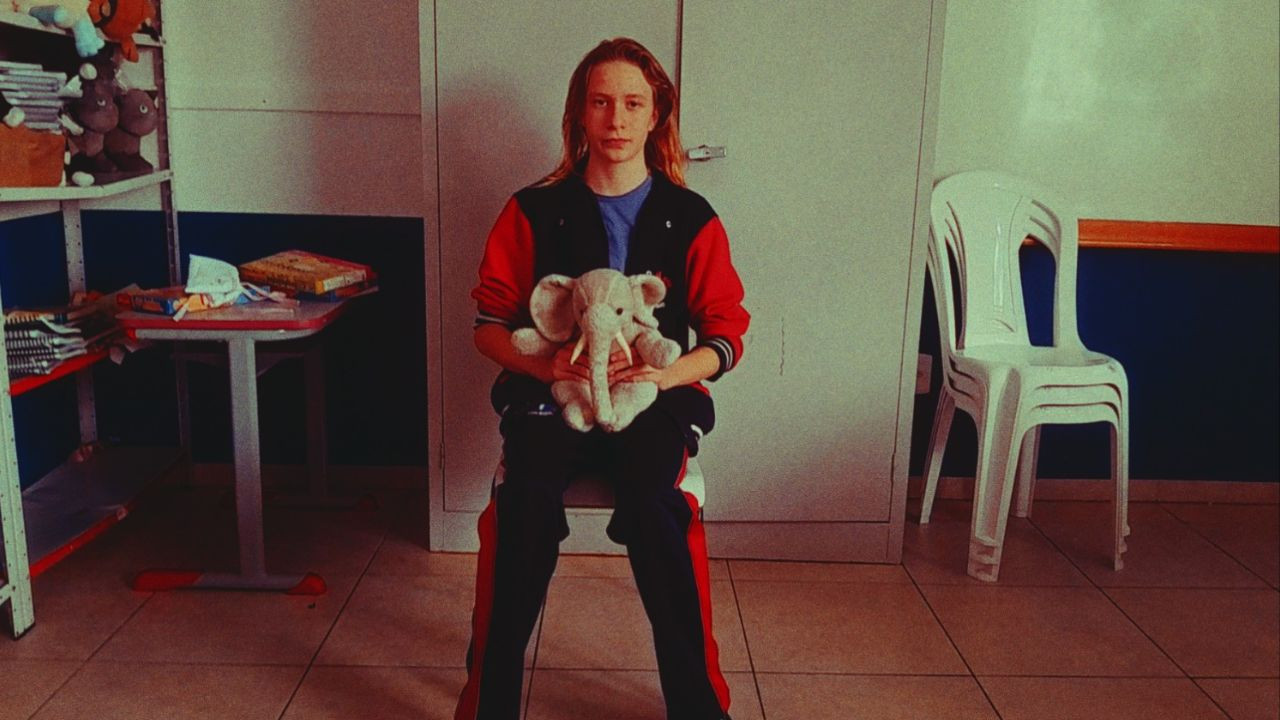 Mister Elephant backdrop