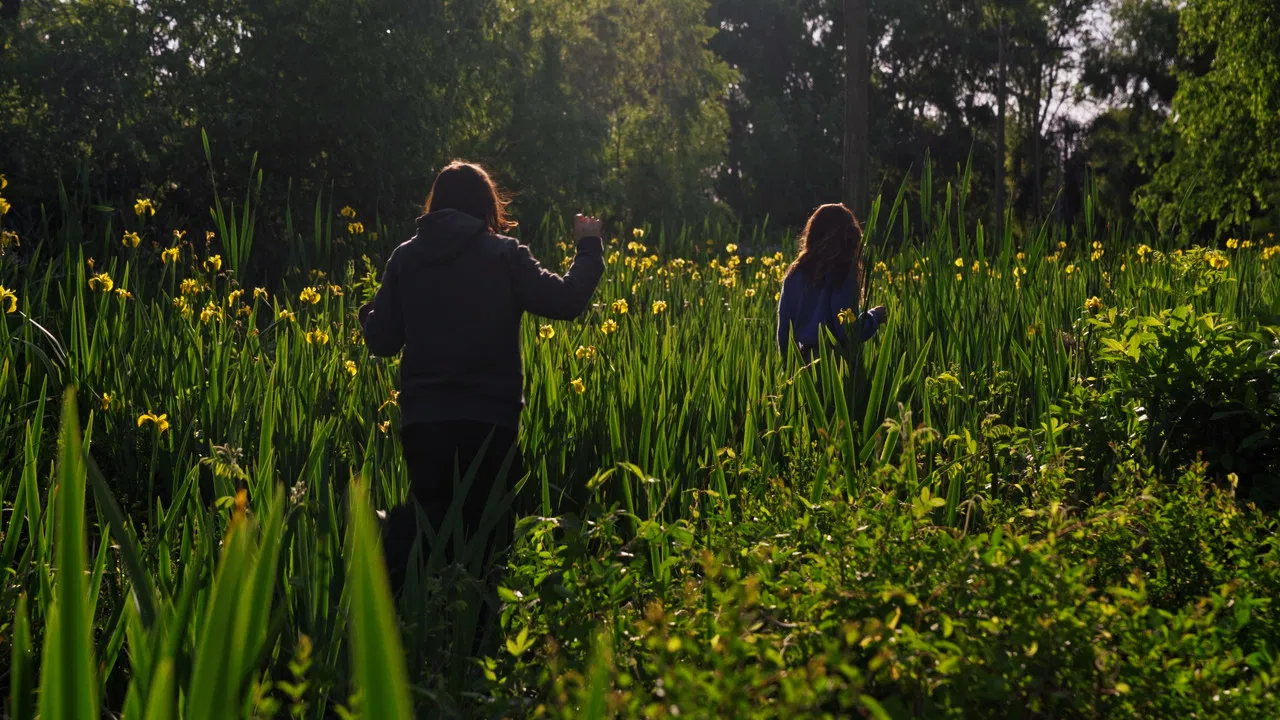 When the waters turn Magenta backdrop