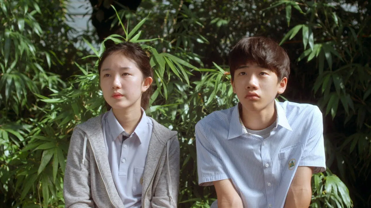 A Boy and Sungreen backdrop