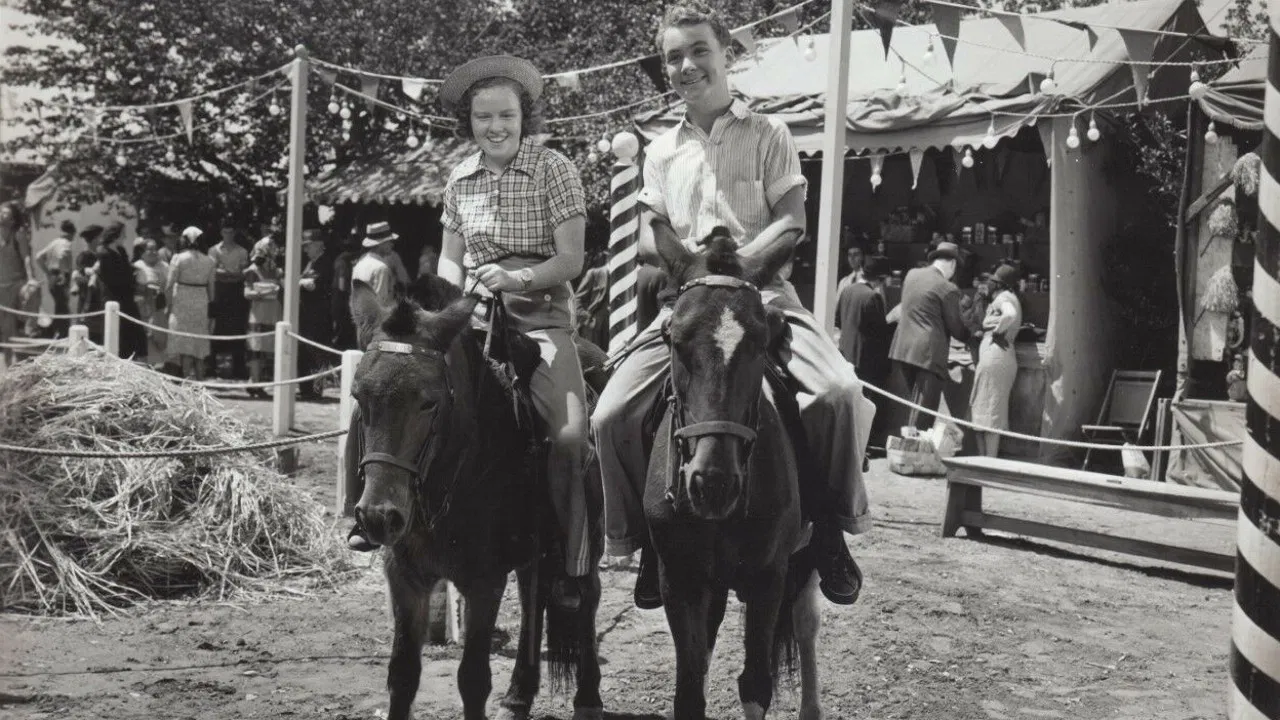 Down on the Farm backdrop