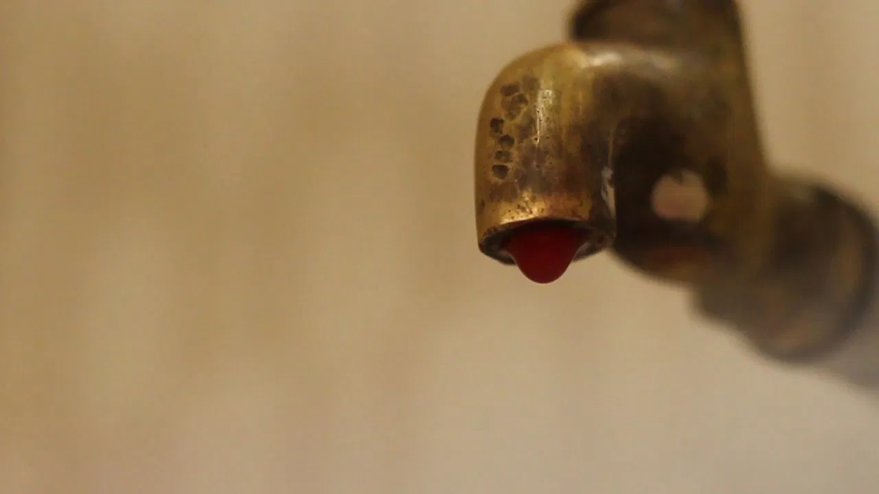 The Tap Story backdrop