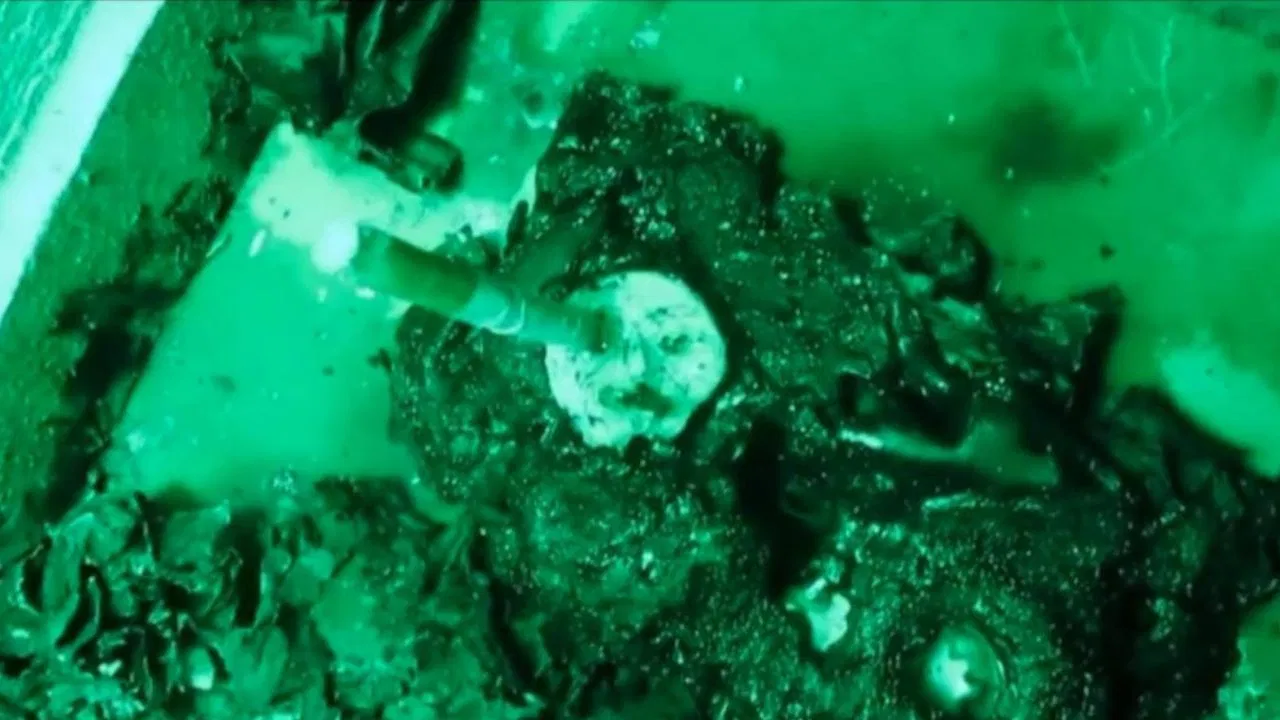 Era Locadora backdrop