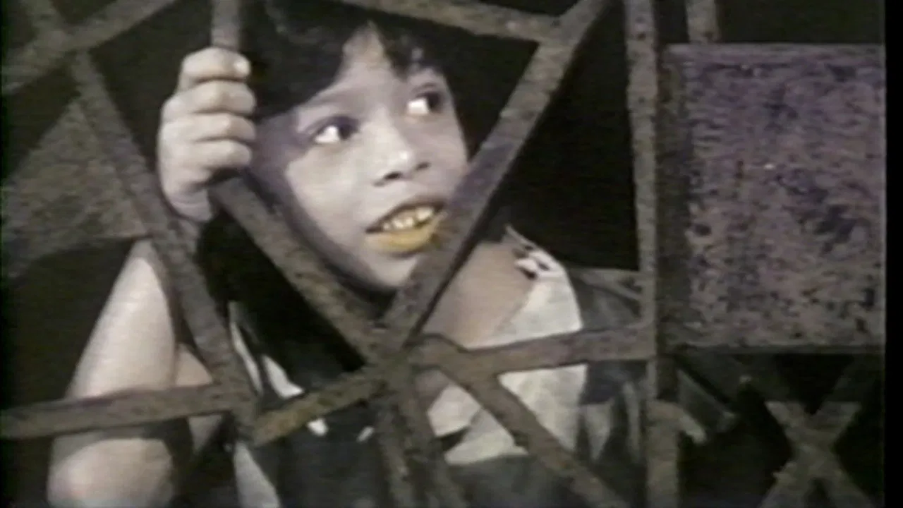 Jacob Two-Two Meets the Hooded Fang backdrop