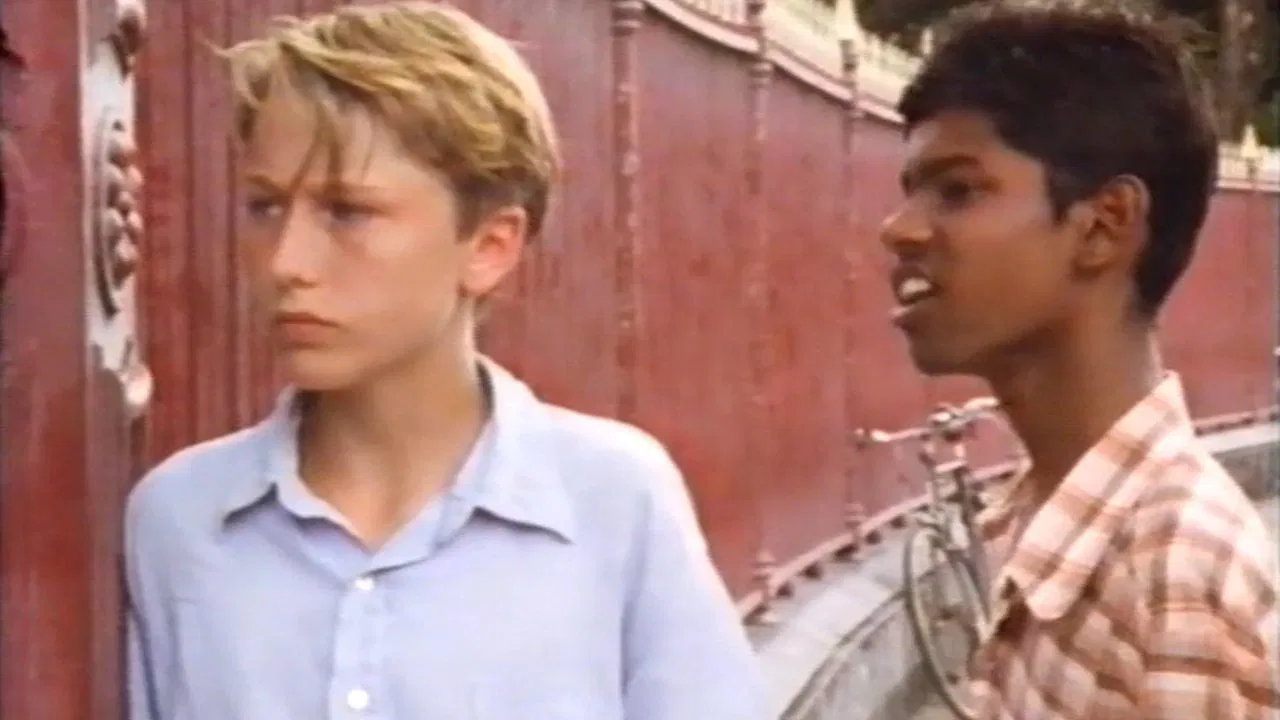 The Hummingbird Tree backdrop