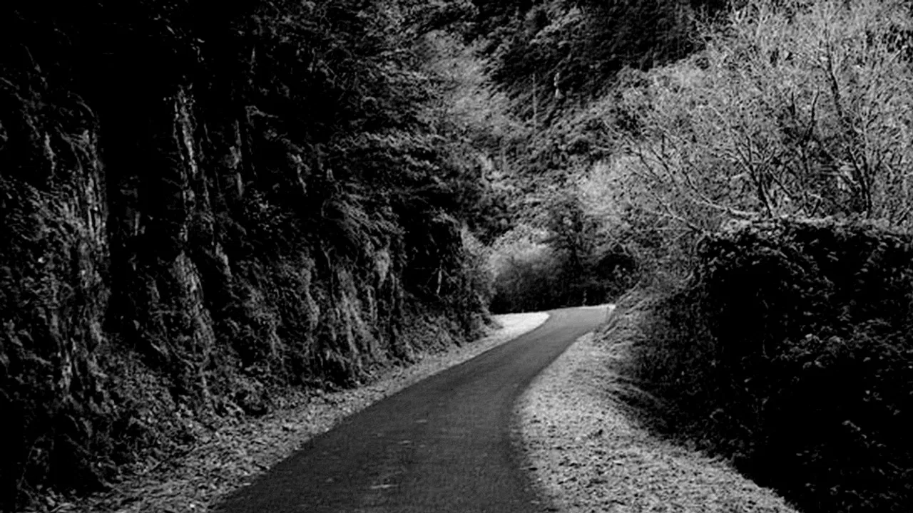 Praise of the Distance backdrop