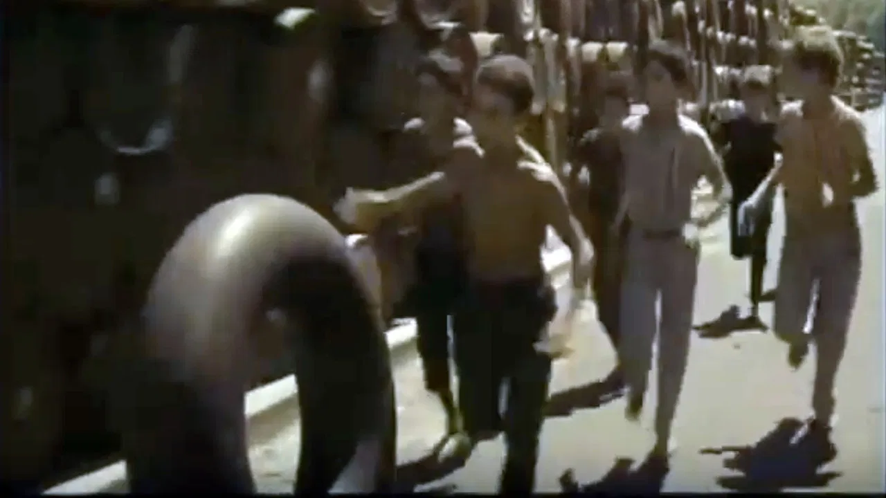 Les Moineaux d'Algérie backdrop