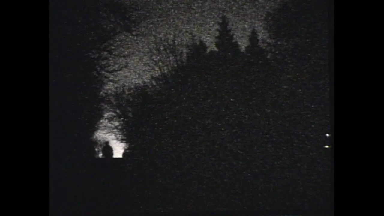 Five Films by Phil Solomon backdrop