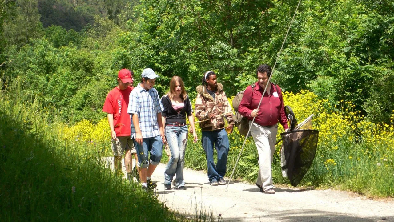 Un petit coin de paradis backdrop