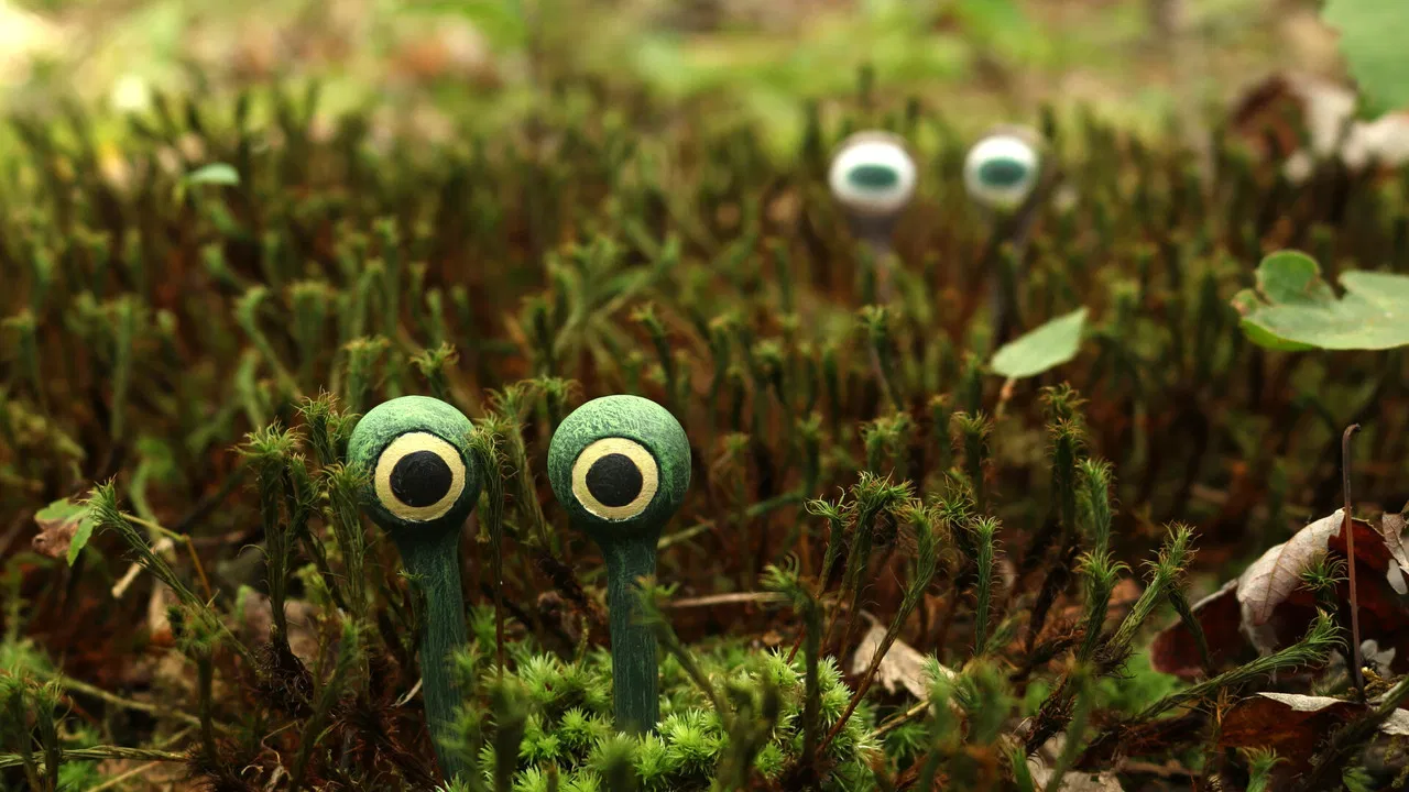 Sum of its Parts backdrop