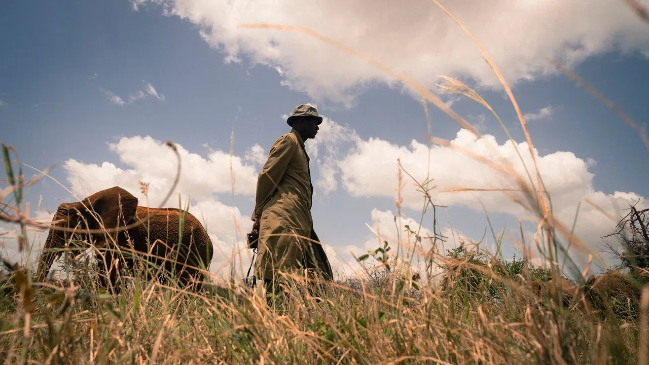 Gardeners of Eden backdrop