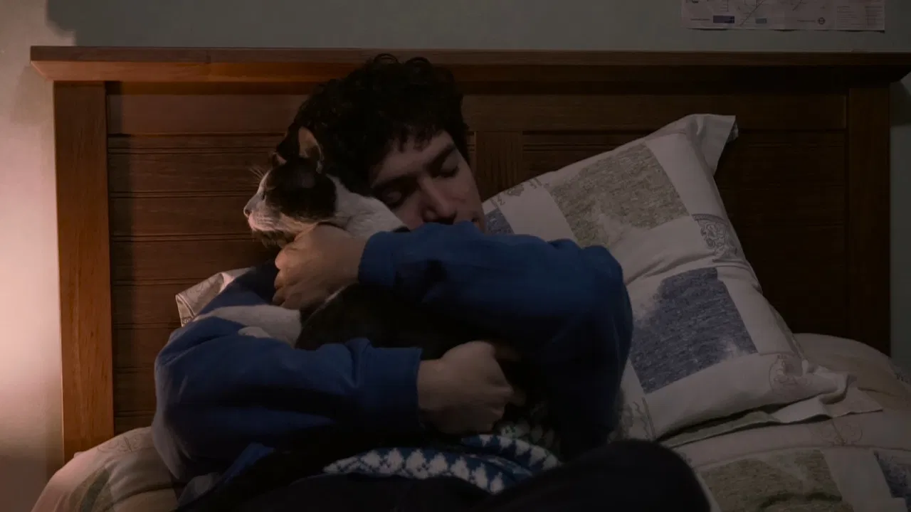 The Palm Trees (Documentary Niños del Cerro) backdrop