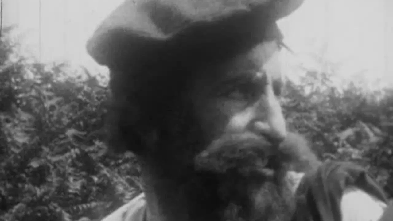 Fickle Fortune backdrop