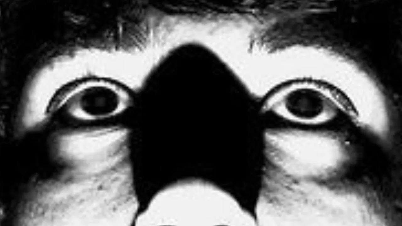 Breathing Room backdrop