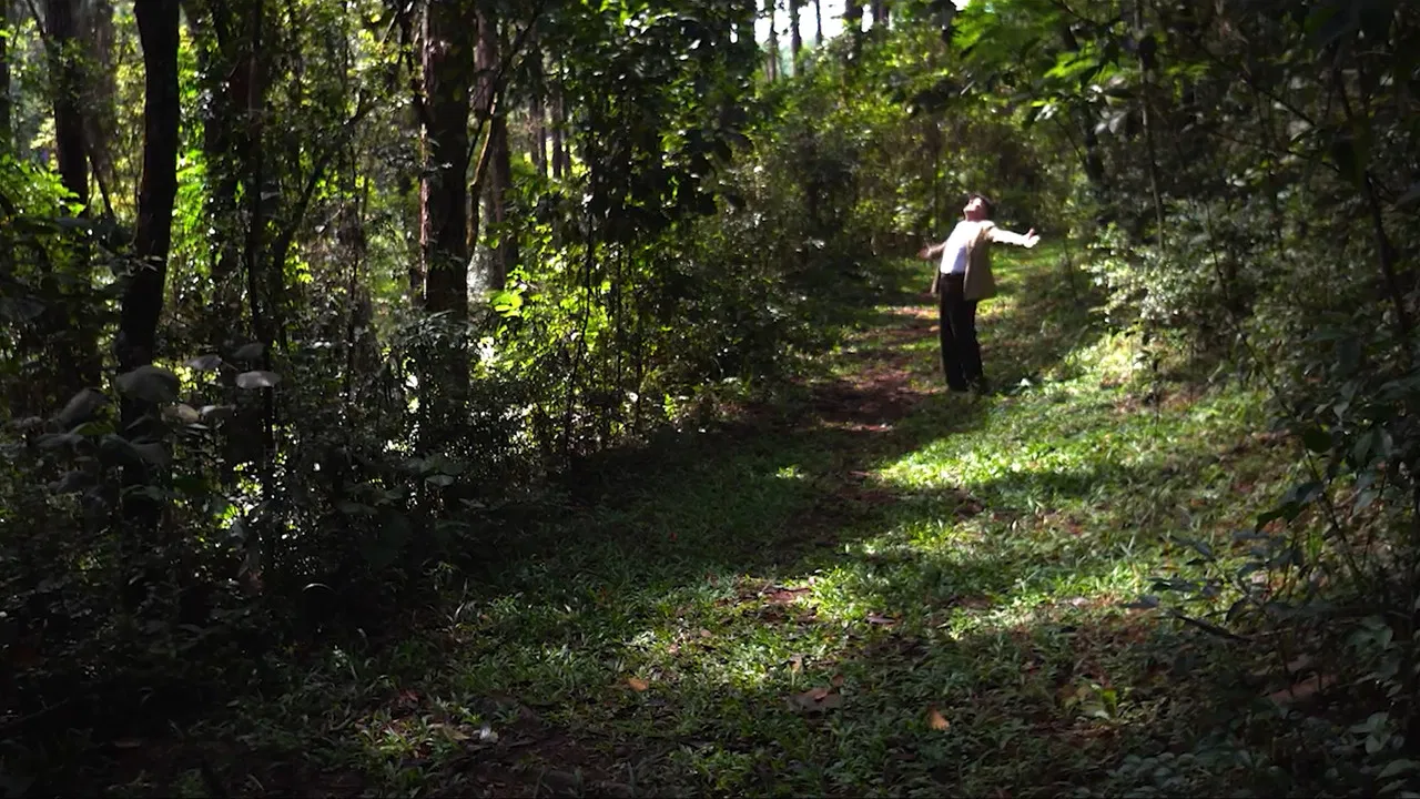 Cidade Natureza backdrop