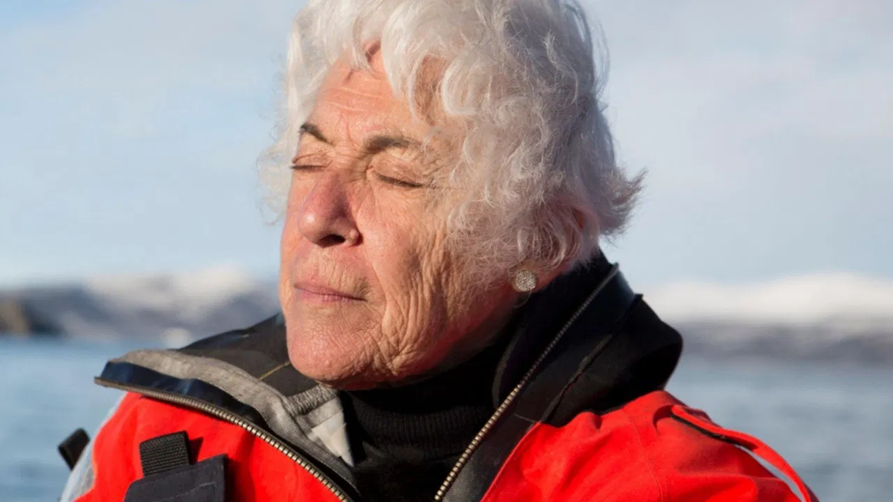 Els records glaçats backdrop