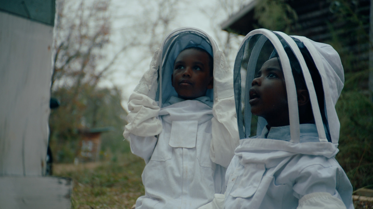 The Boys and the Bees backdrop