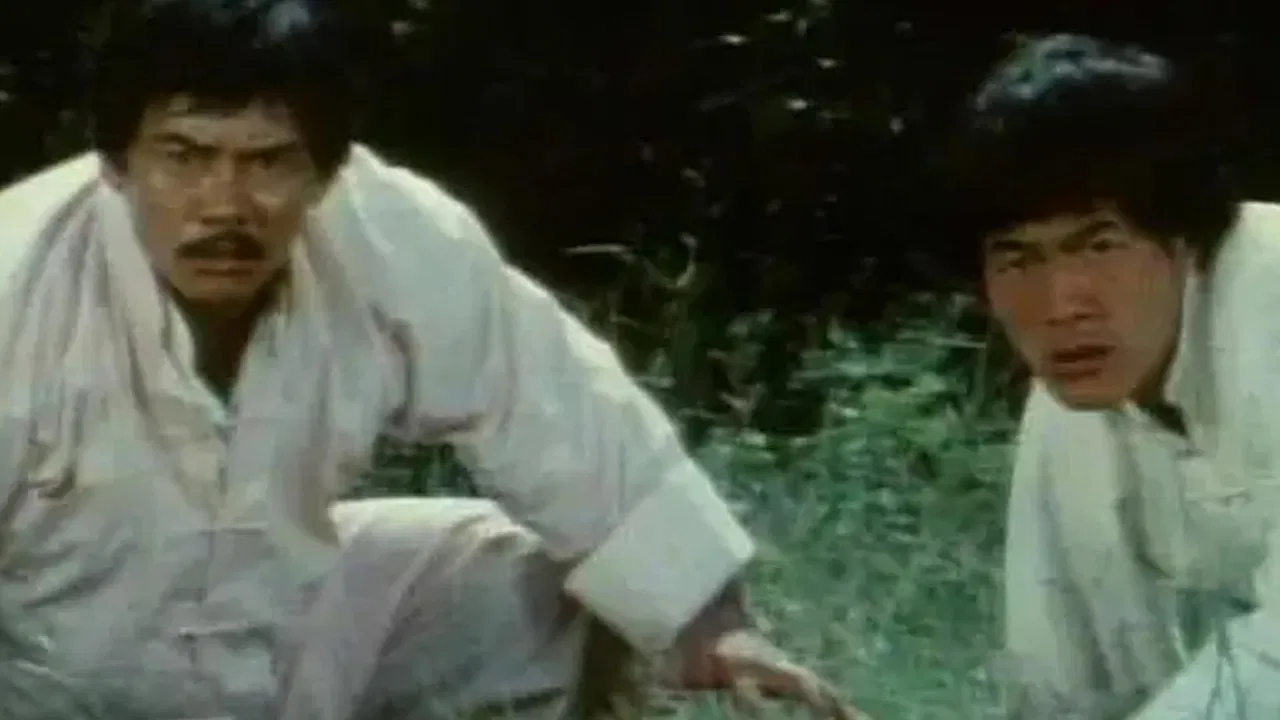 Bruce Lee The Invincible backdrop