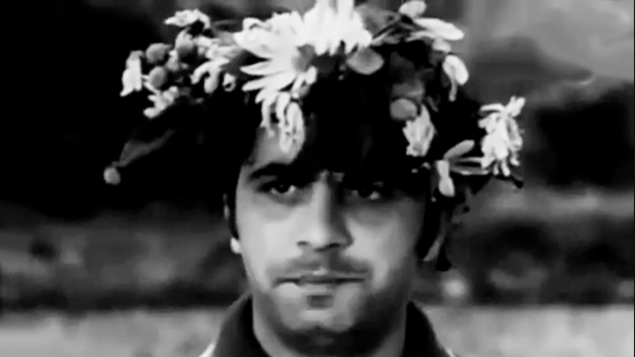 Find Us in the Mountains backdrop