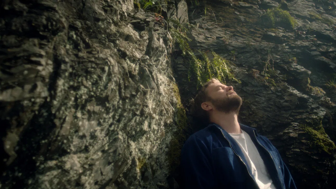 Listen To the Wallflowers backdrop