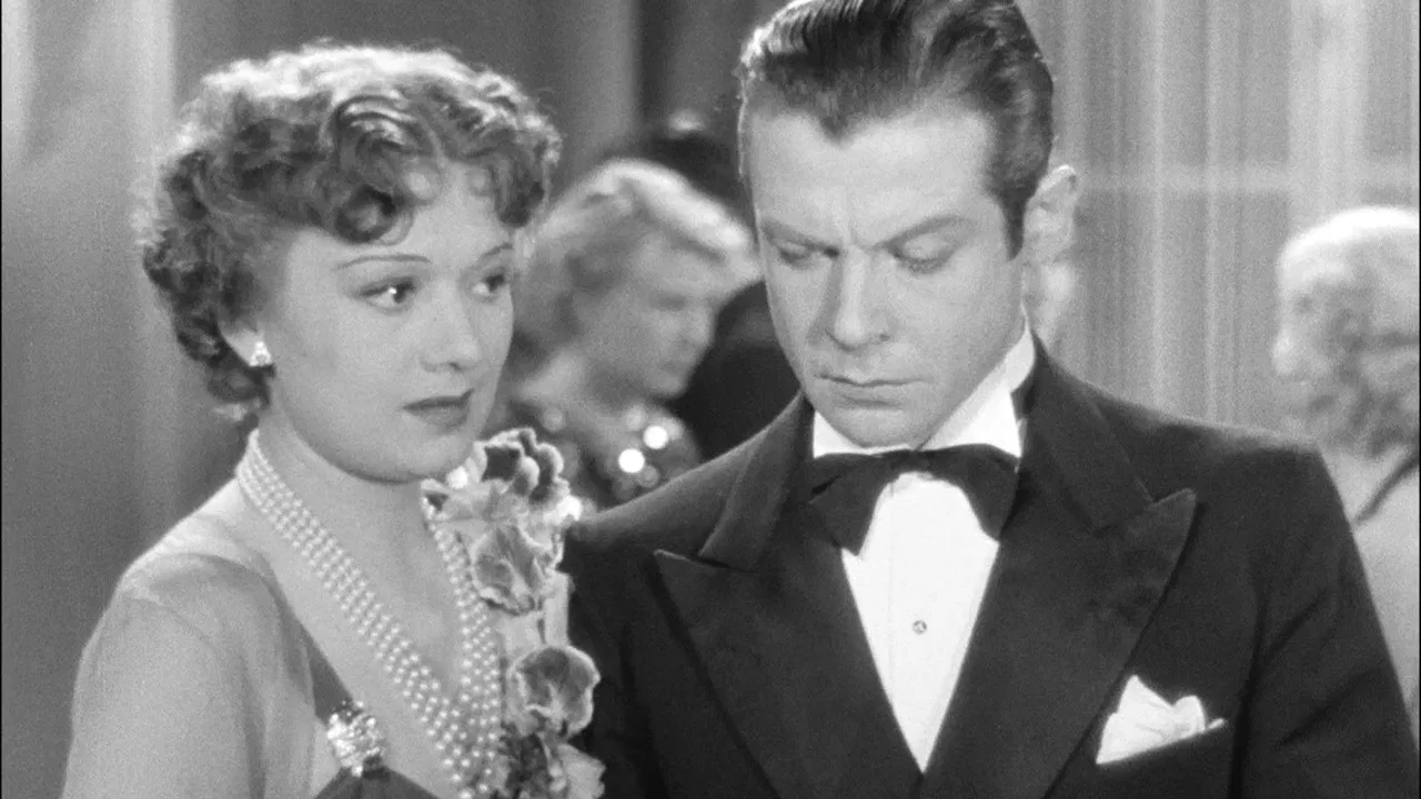 Mister Flow backdrop