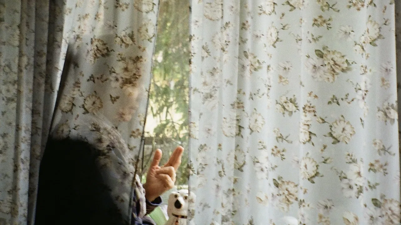 Wind Beneath the Wings backdrop