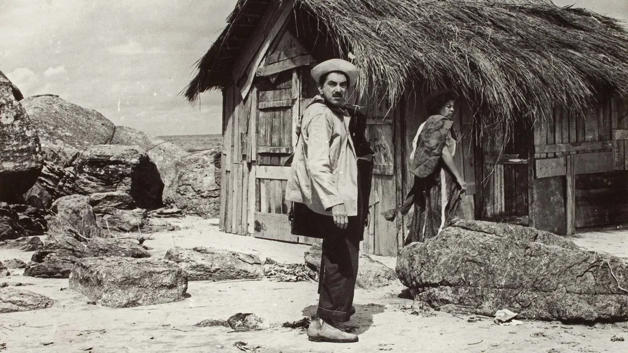 Zé do Periquito backdrop