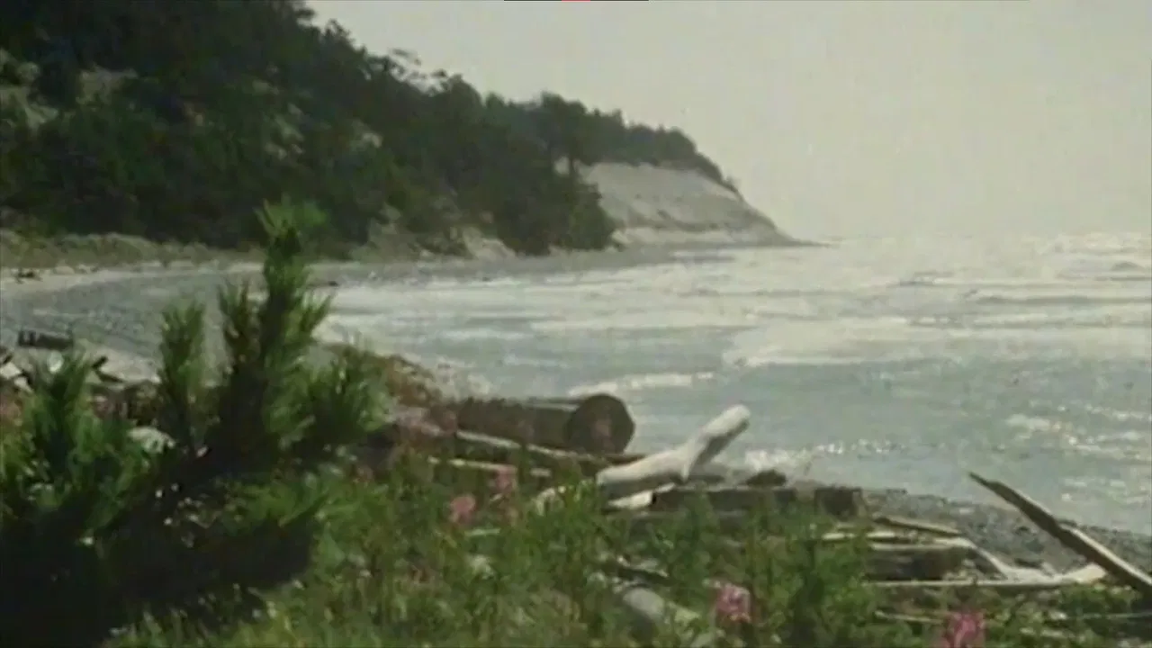 Gotska Sandön backdrop