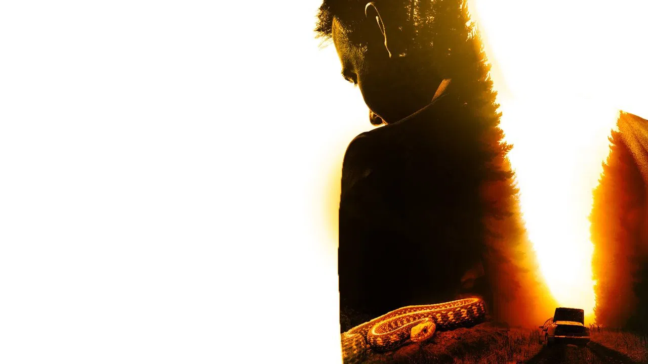 Intersection backdrop