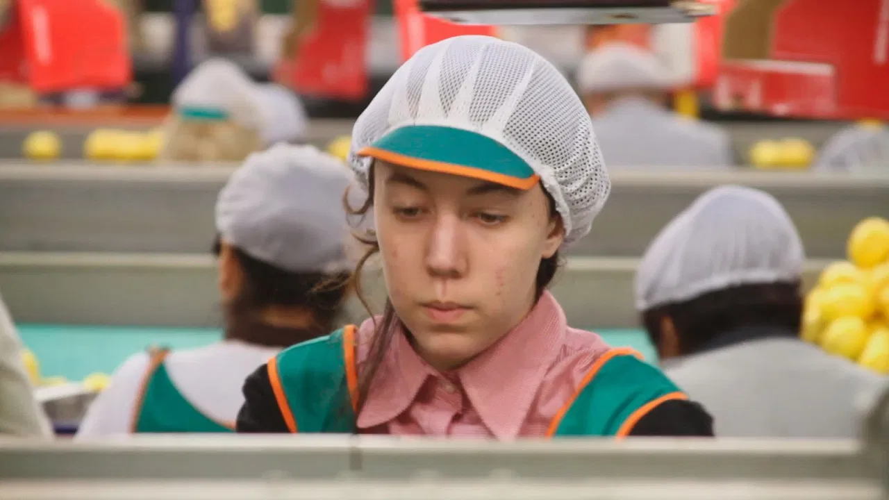 The Girl in the Lemon Factory backdrop