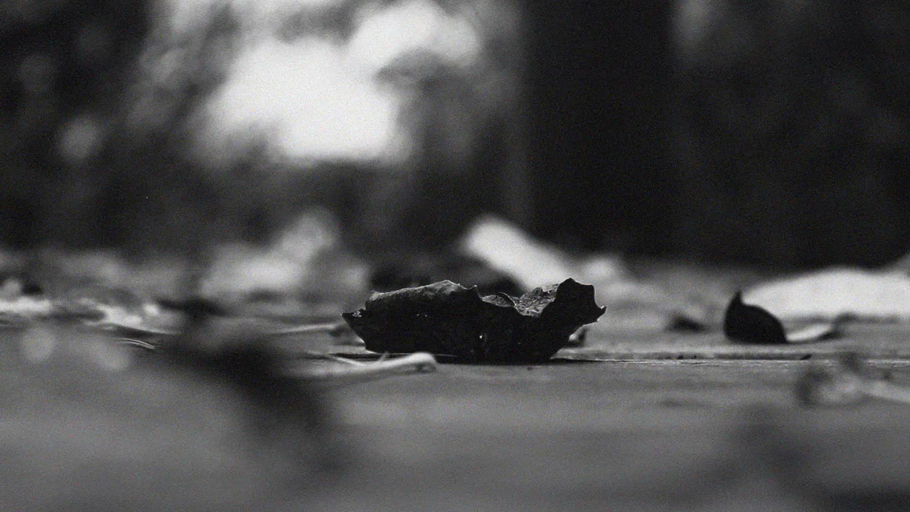 The pulse of everything from where we arose and departed backdrop