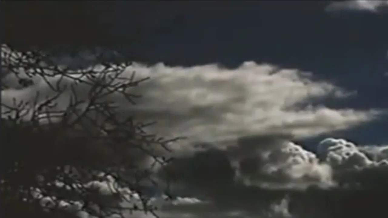 The Field Is White backdrop