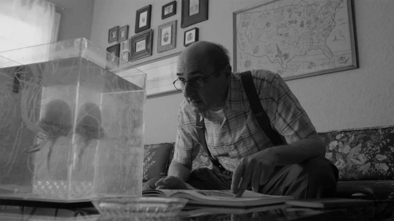 Sherman and Pacifico backdrop