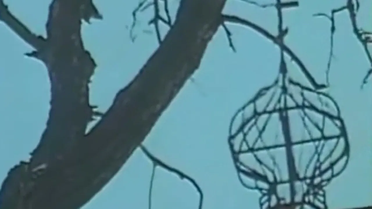 The Cimmerian Hermit backdrop