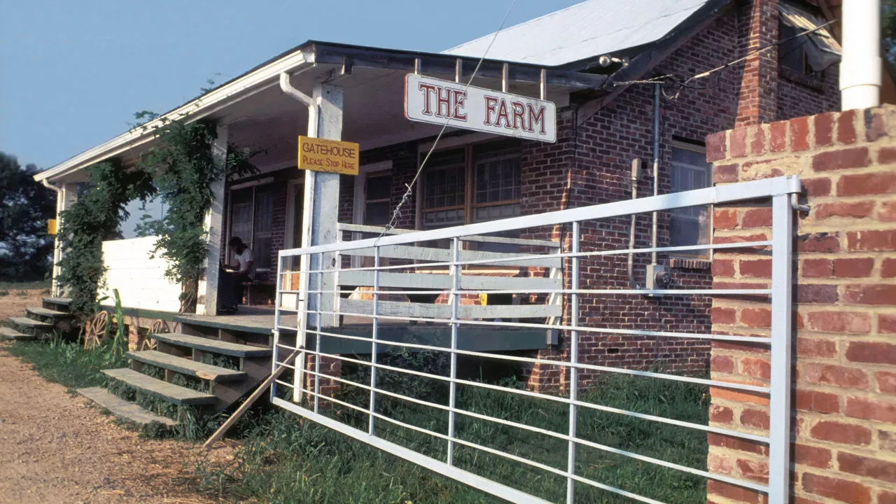 American Commune backdrop
