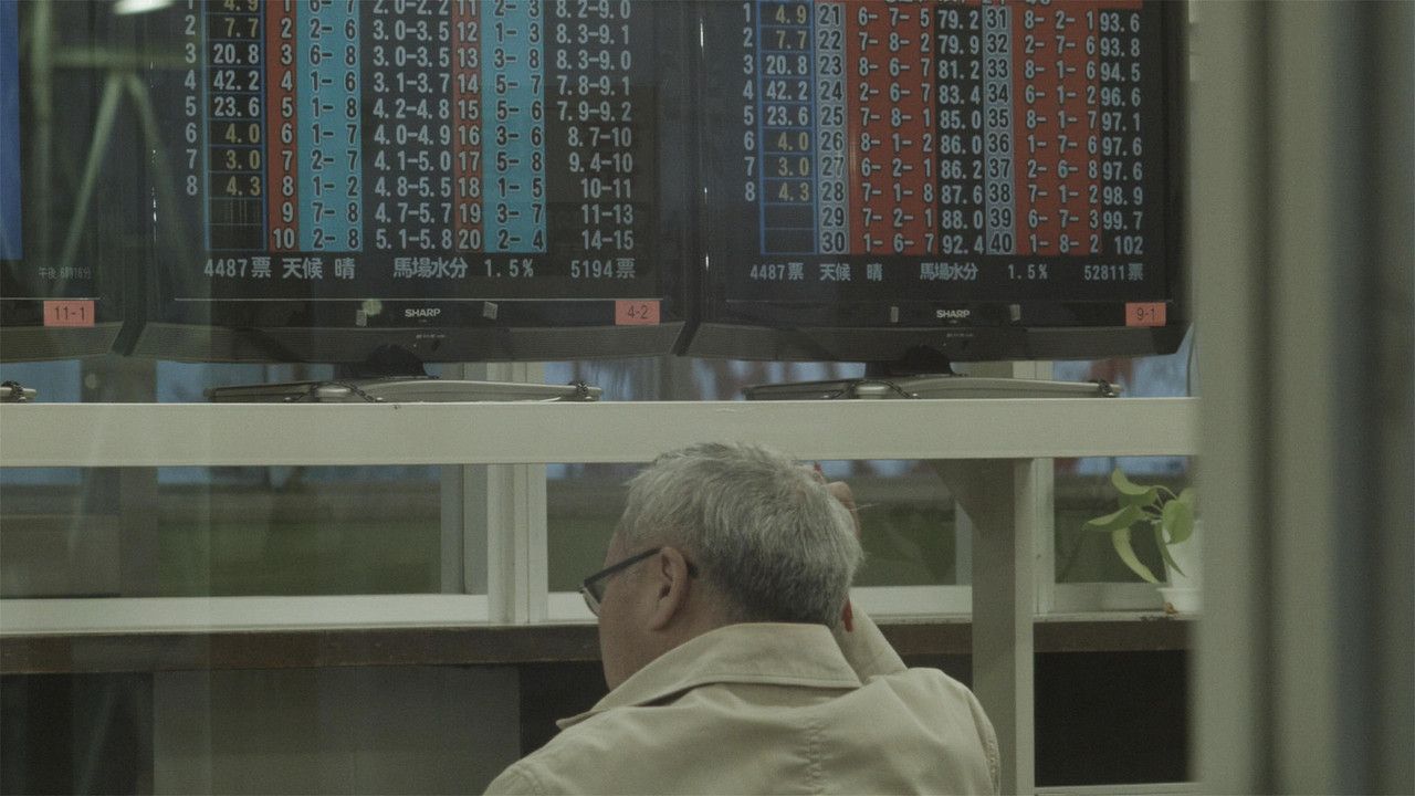 Mountain Plain Mountain backdrop