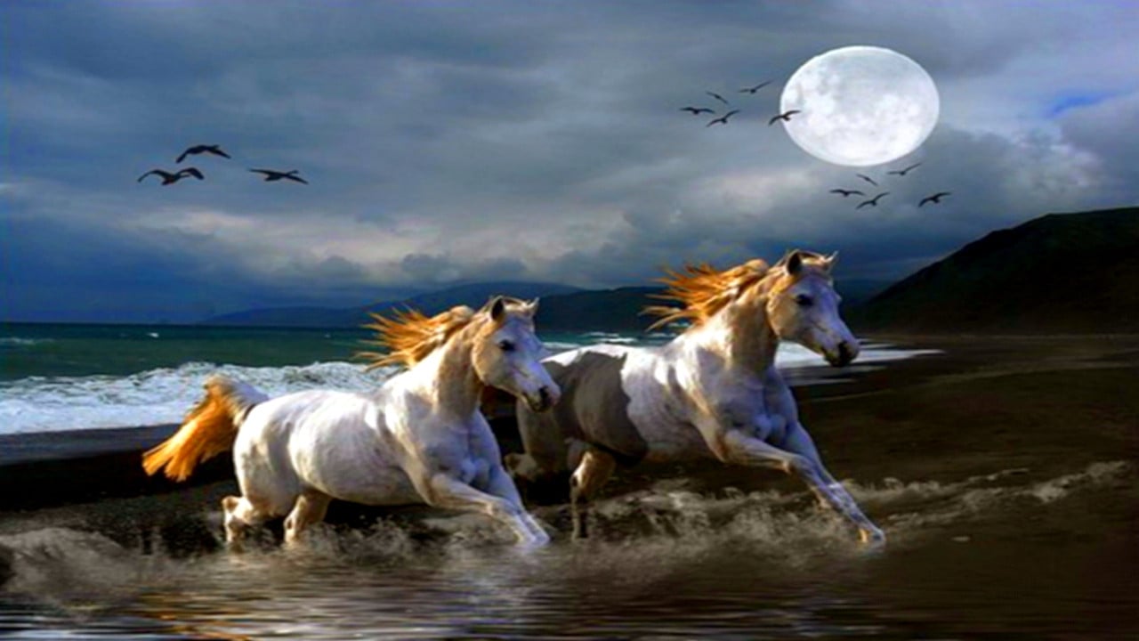 Нощем с белите коне backdrop