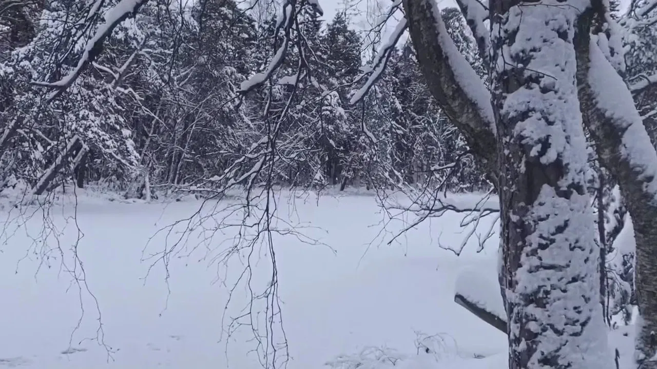 La Féerie Winter backdrop