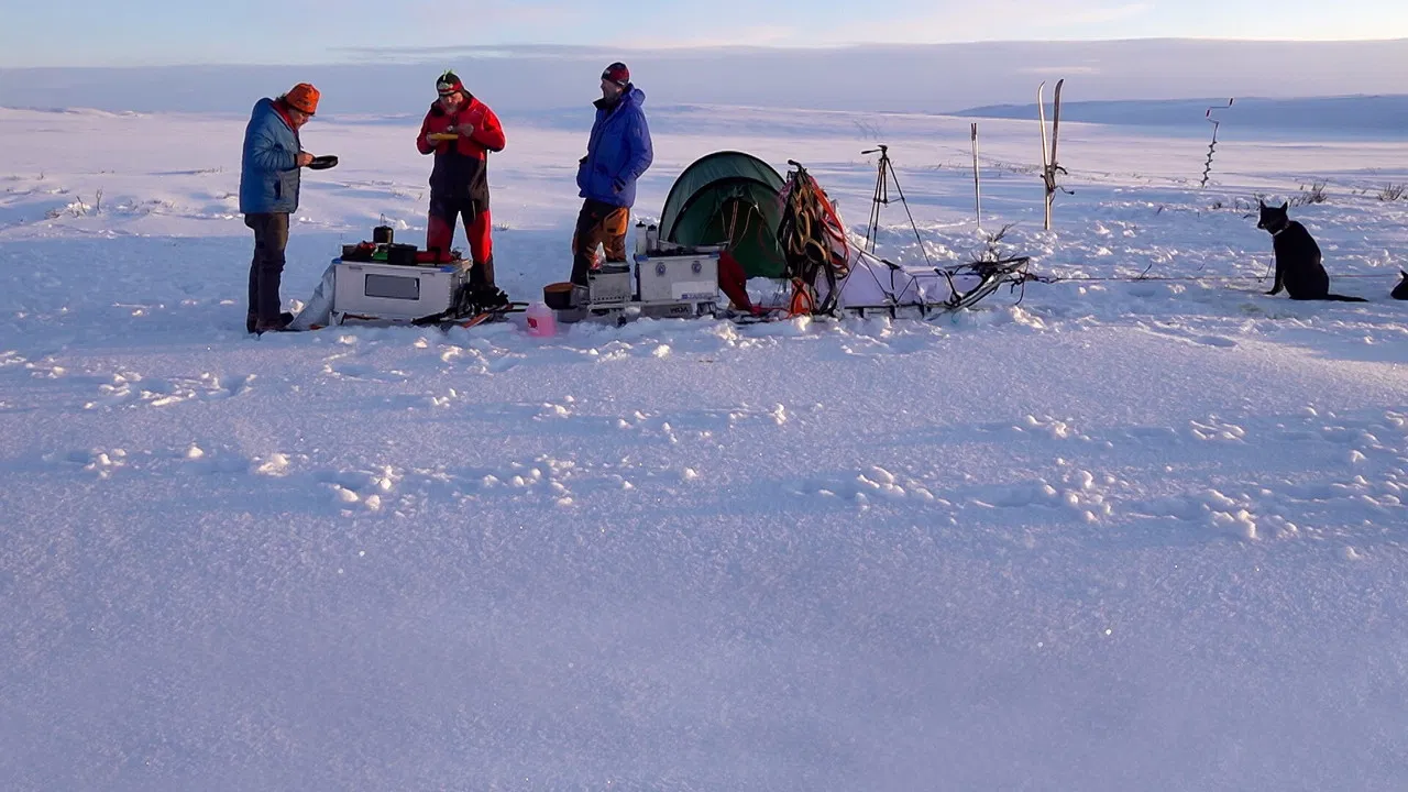 Monsen, Monsen og Mattis backdrop