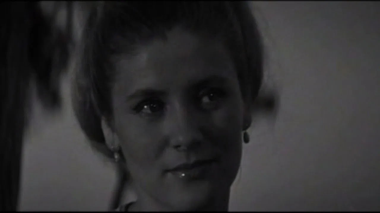 Wedding Day backdrop